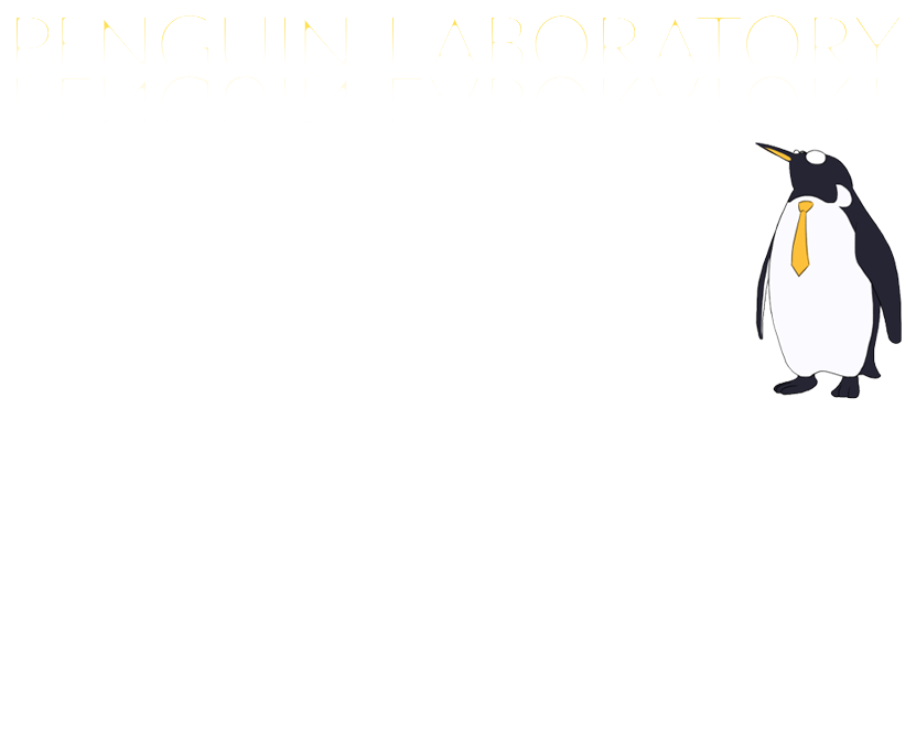 webサイト制作・各種デザイン・イラスト・システム開発